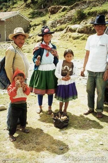 Recuperacin de las papas nativas en Vicos, Huarz