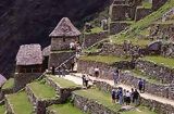 Viviendas y andenera, Ciudadela de Machu Picchu