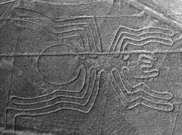 La araa, Nazca