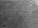 La araa, Nazca