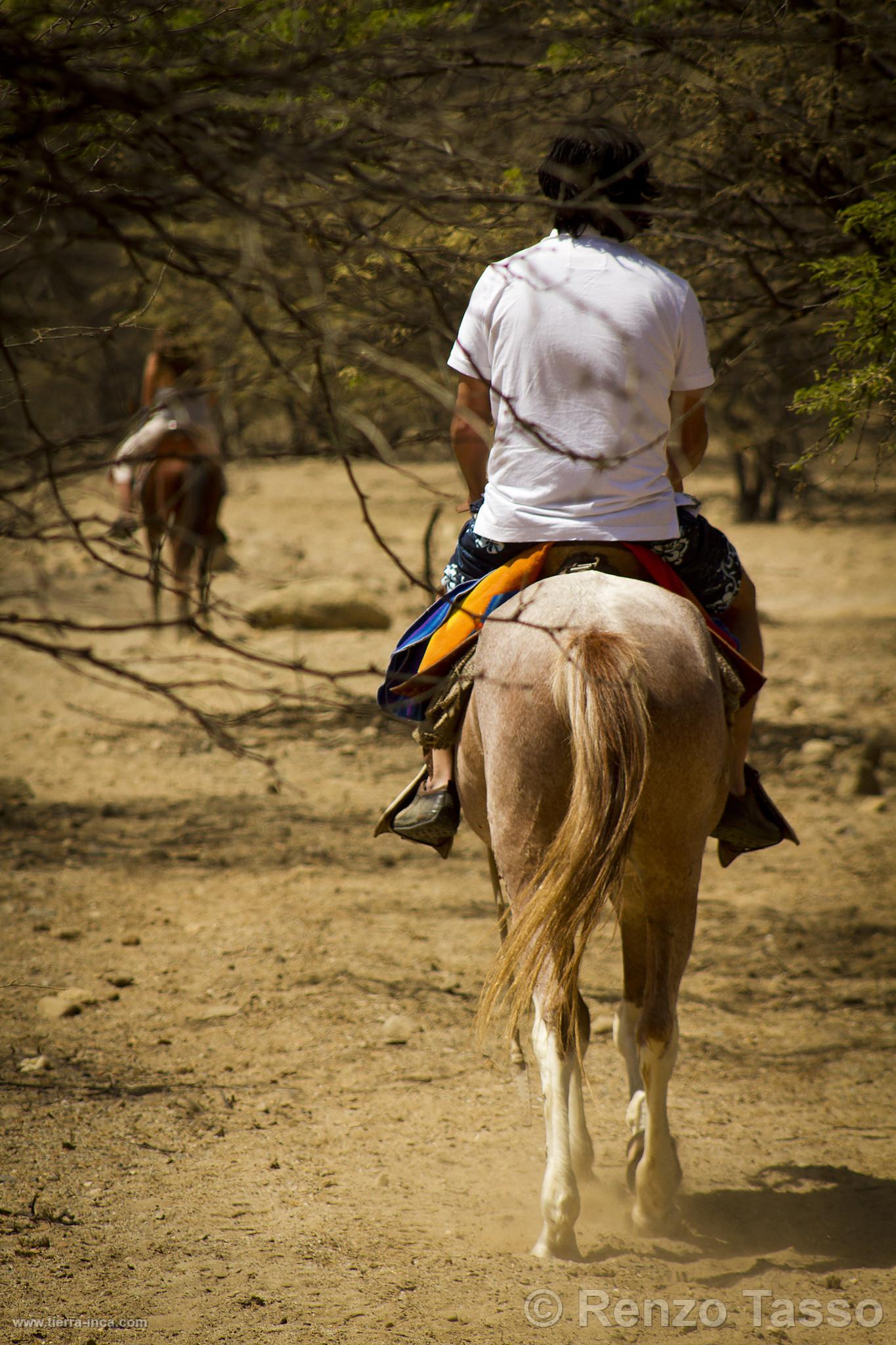 Paseo a caballo, Mncora