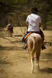 Paseo a caballo, Mncora
