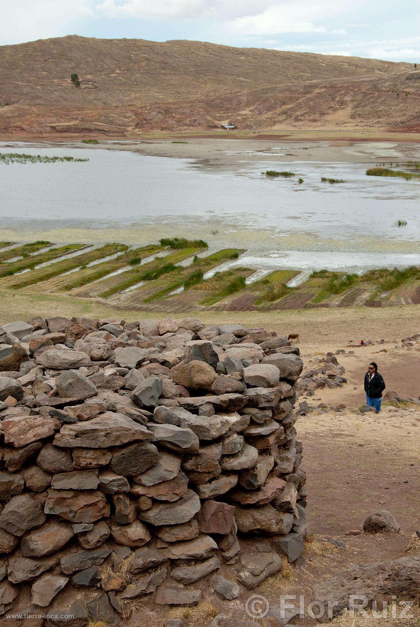 Chullpas de Sillustani