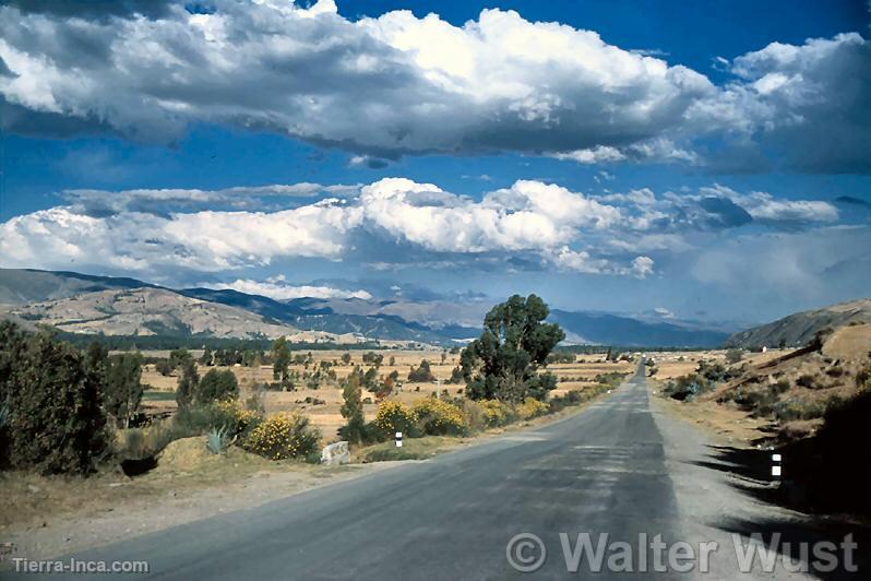 Carretera en Junín