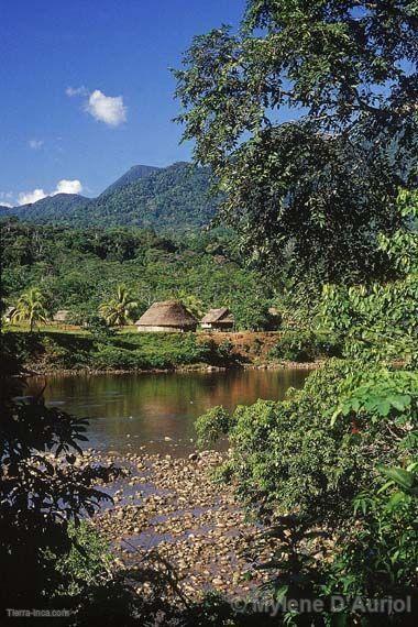 Cerros en la selva loretana