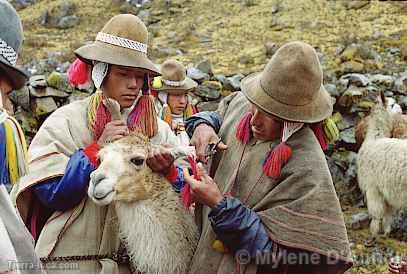 Campesinos marcando llamas, Comunidad Q'eros