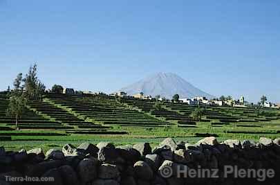 Campiña de Arequipa