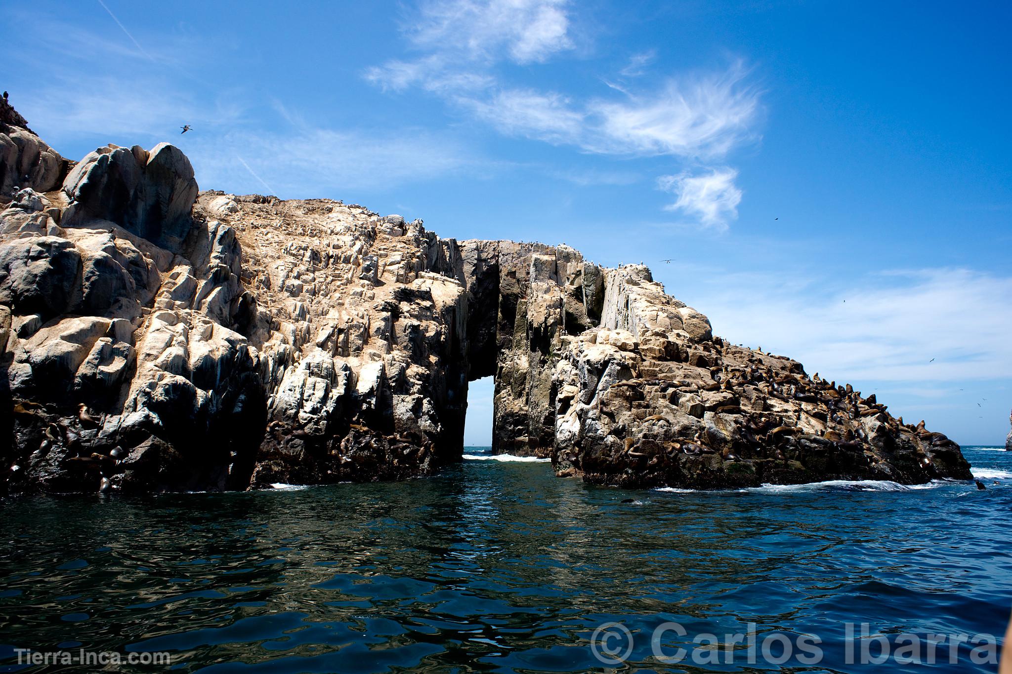 Islas Palomino, Callao