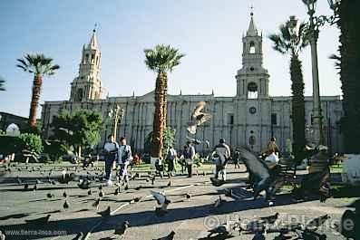 Catedral, Arequipa