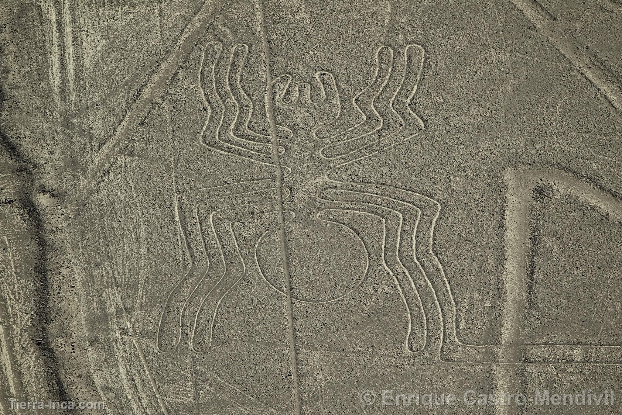 Lneas de Nazca