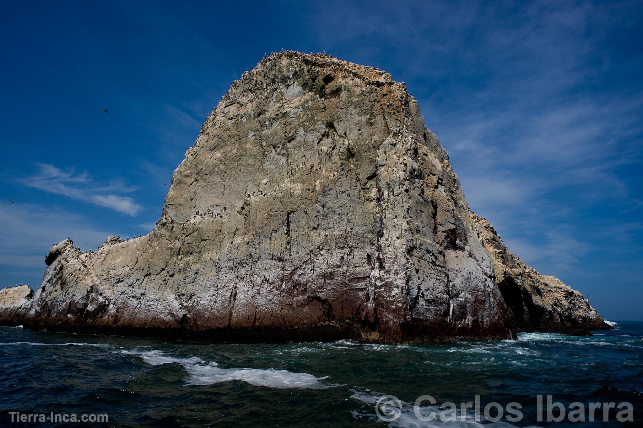 Islote de las Islas Palomino, Callao