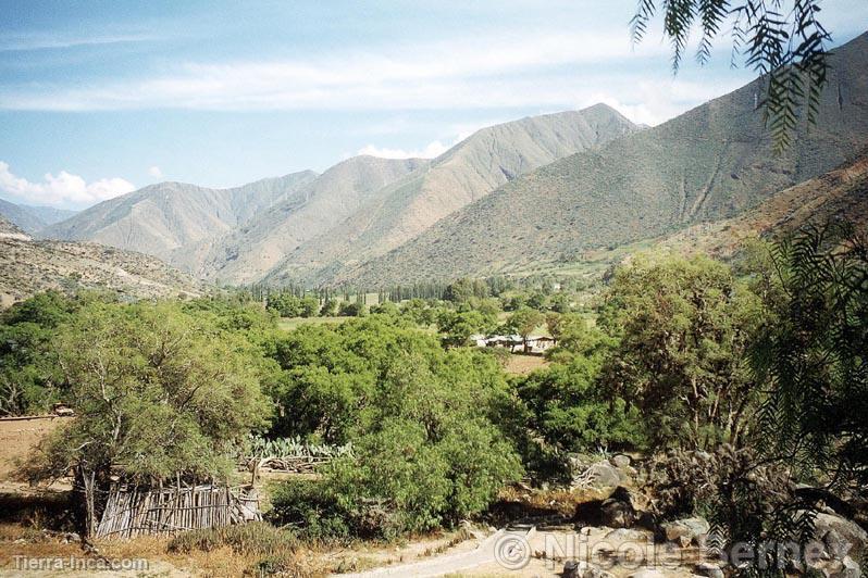 Yunga interfluvial. Kotosh-Huánuco