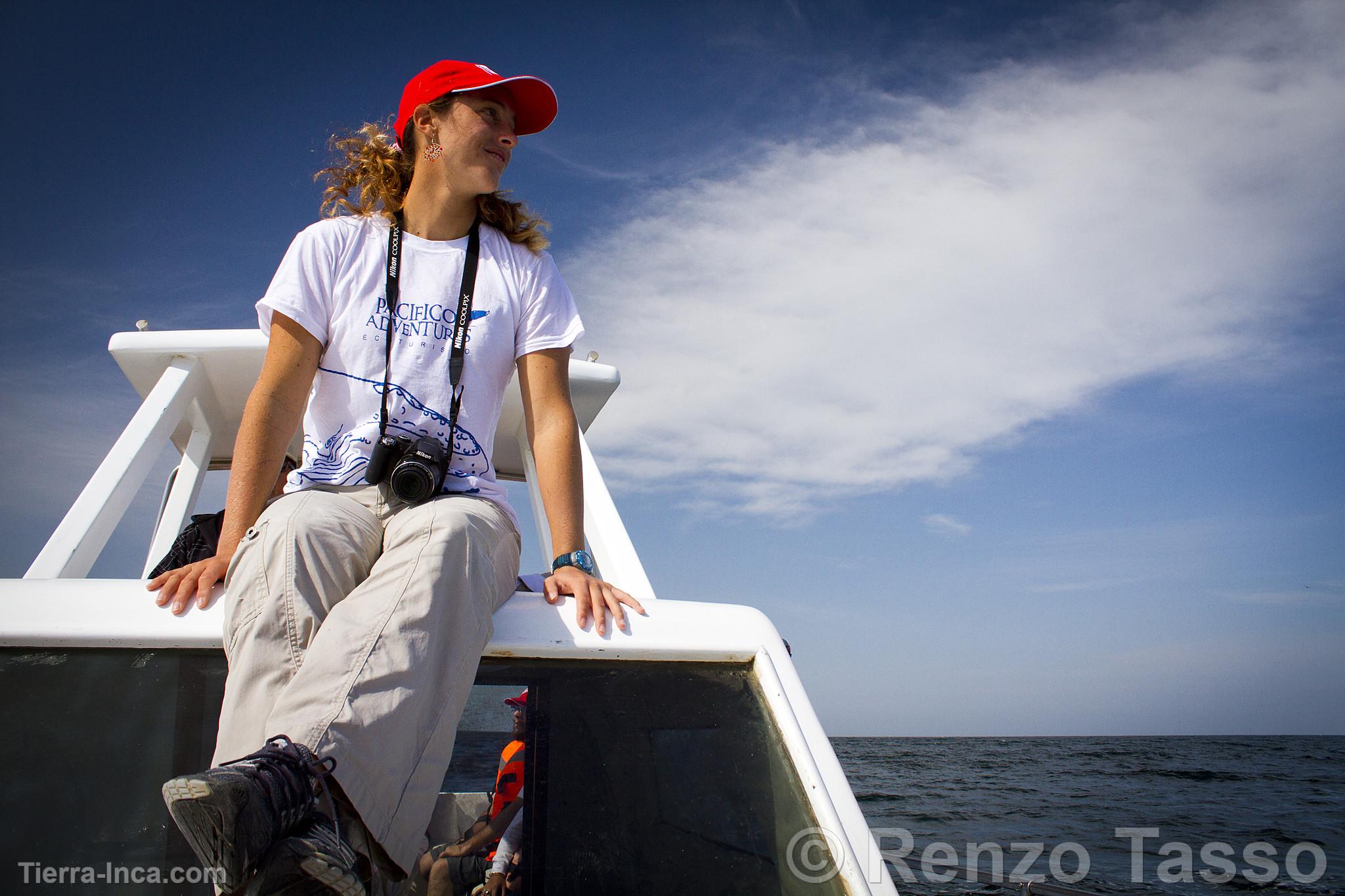 Avistamiento de ballenas