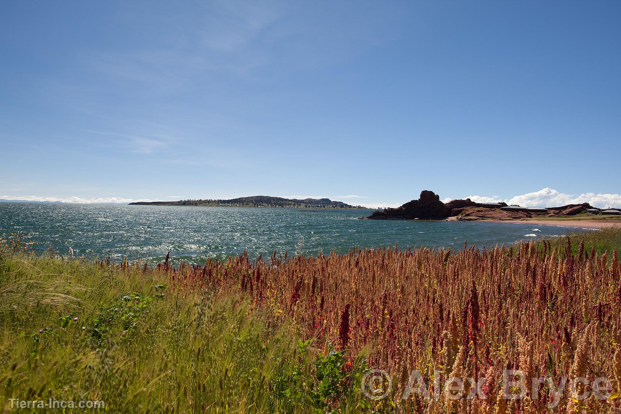 Lago Titicaca