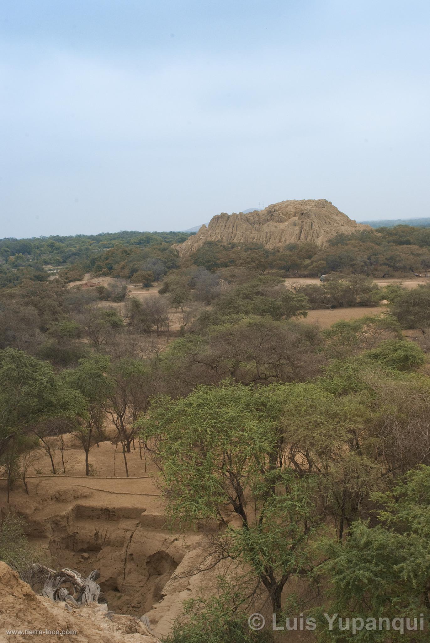 Bosque de Pmac