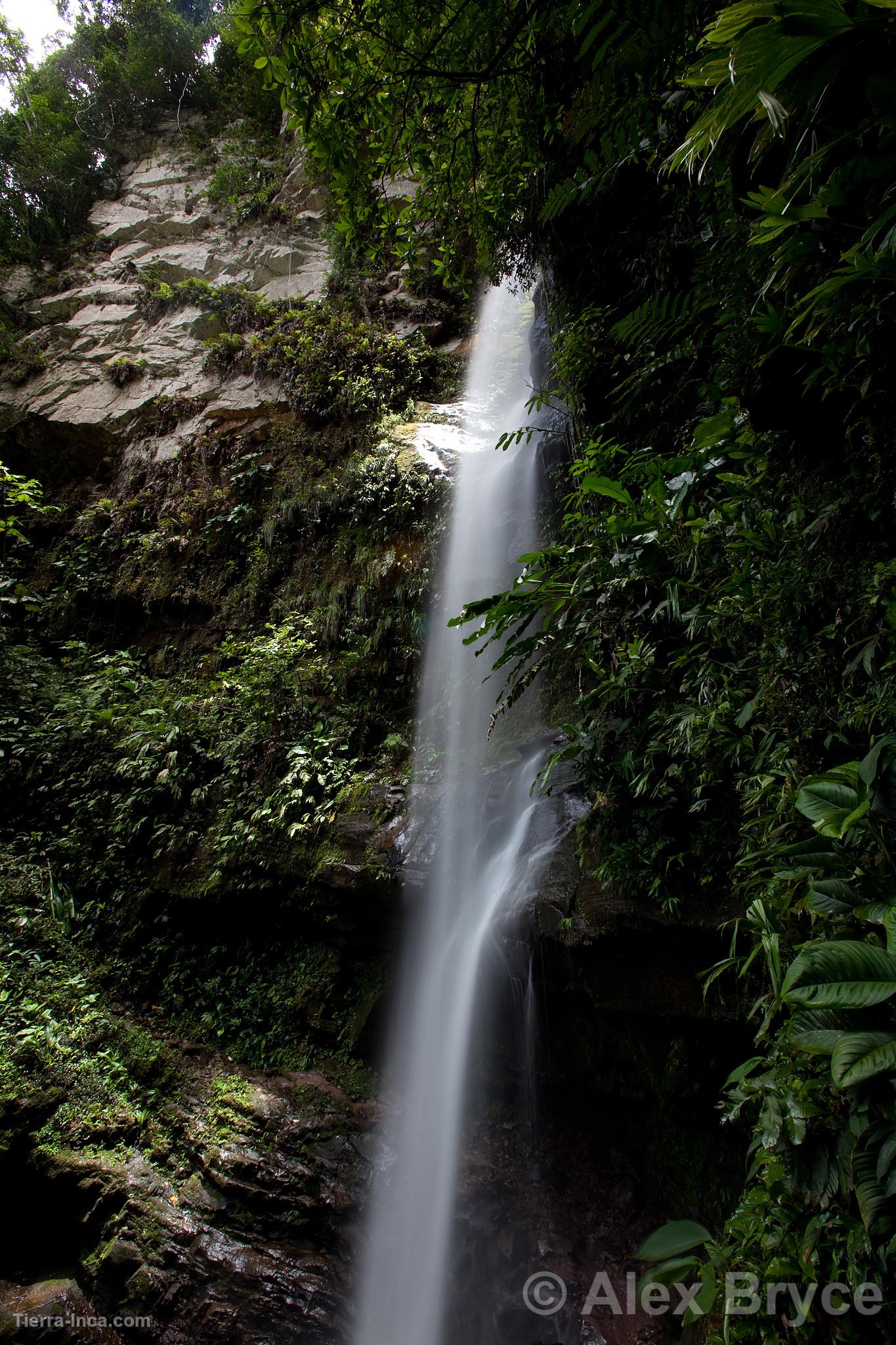 Catarata de Ahuashiyacu