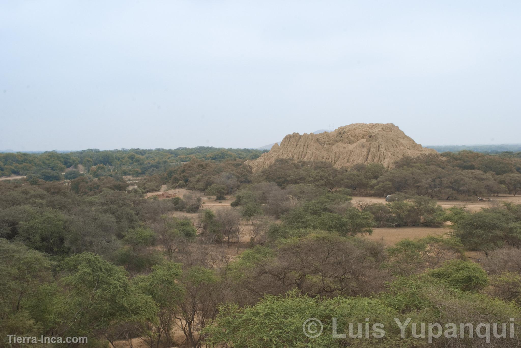 Bosque de Pmac