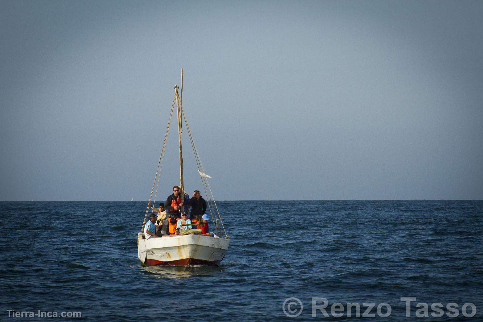 Avistamiento de ballenas