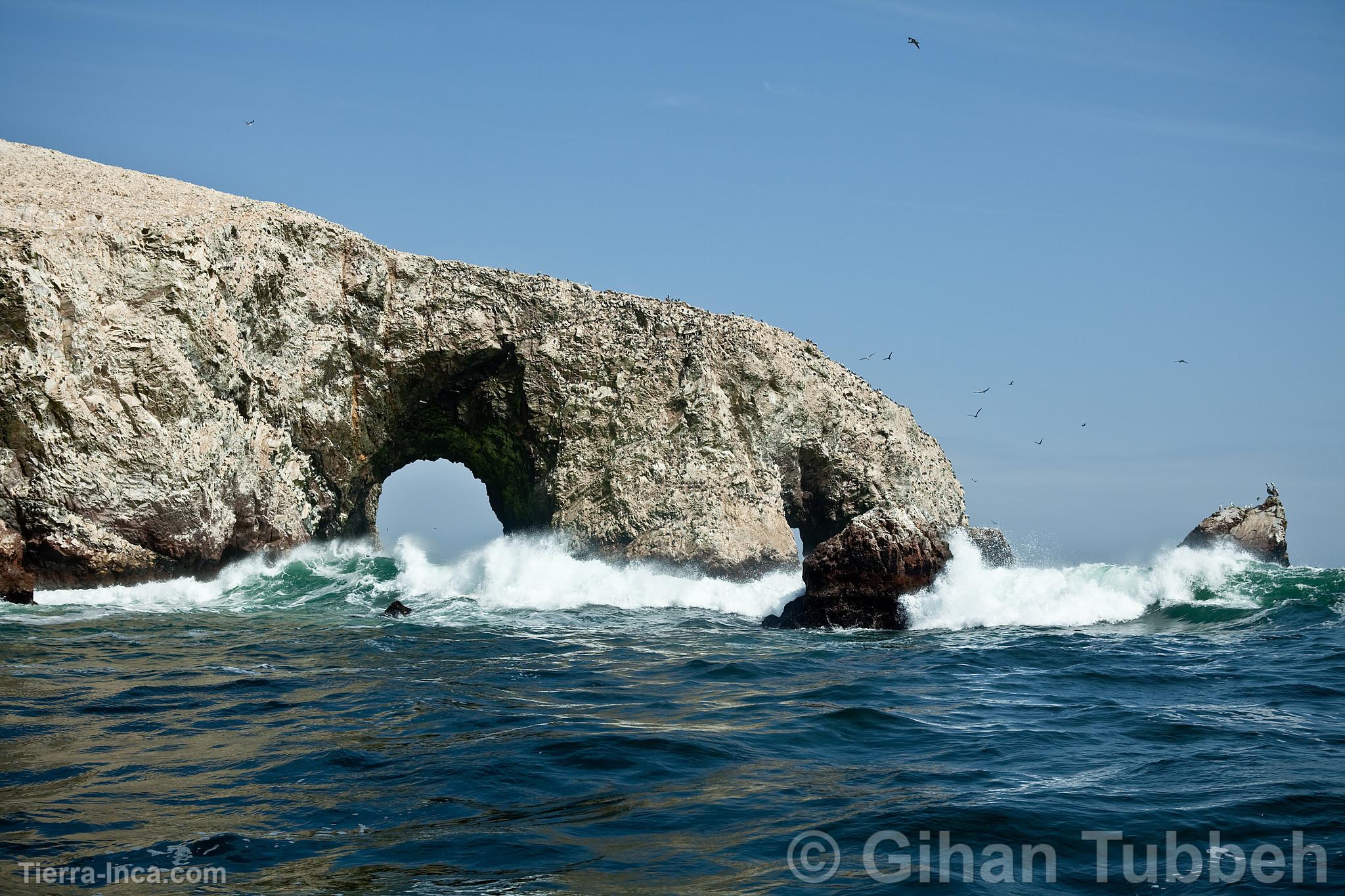 Islas Ballestas, Paracas