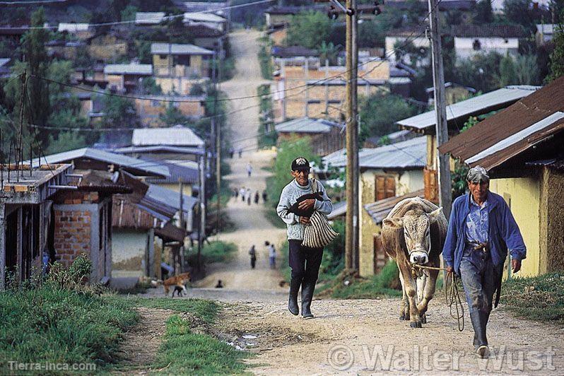 Campesinos de Pomacochas