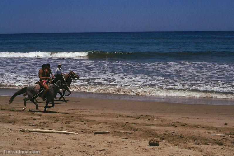 Caballos en Punta Sal