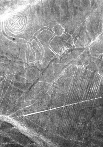 El Mono, Nazca