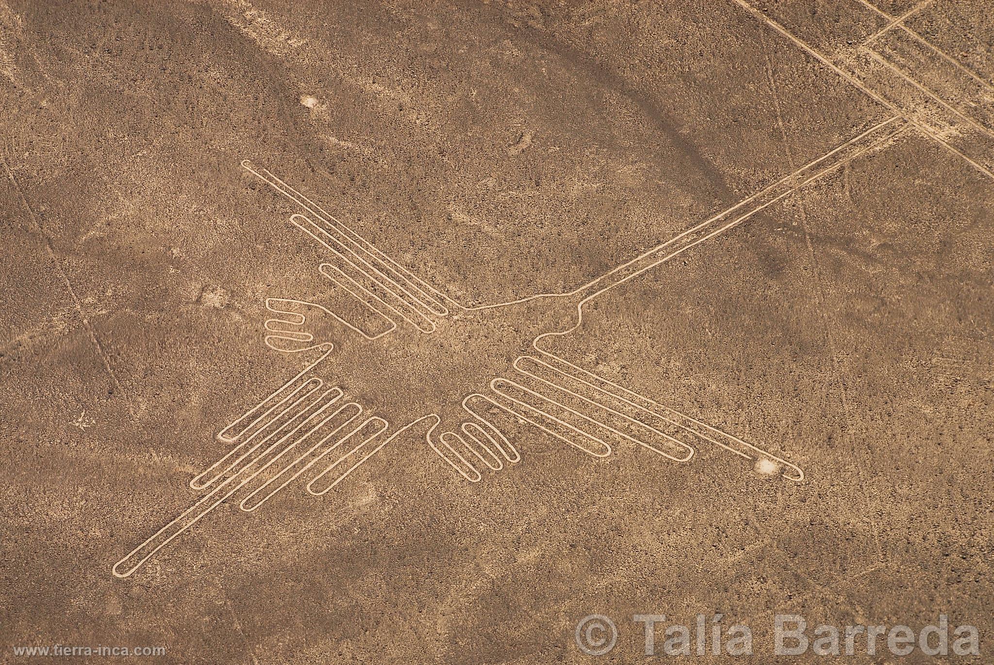 Lneas de Nazca