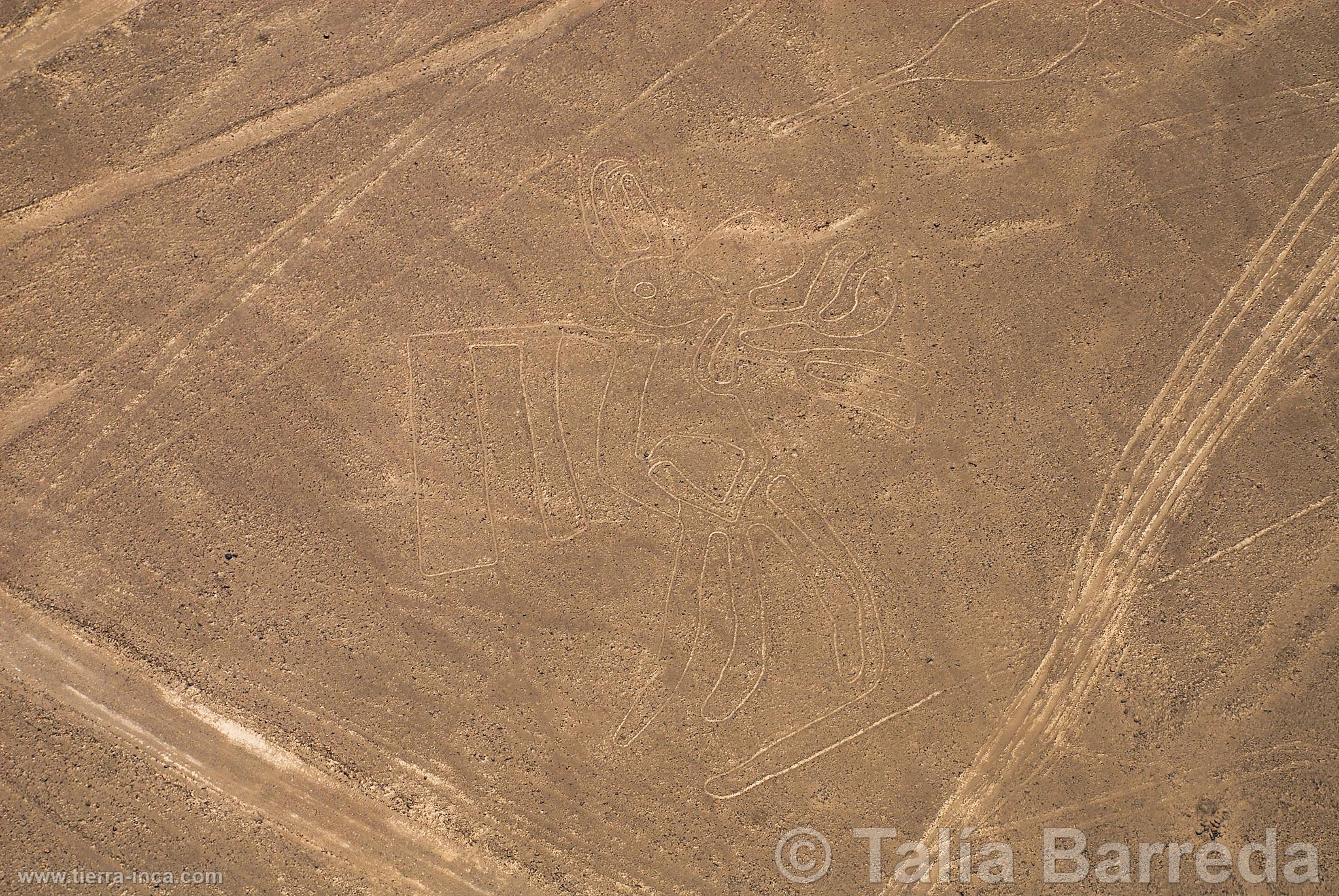 Lneas de Nazca