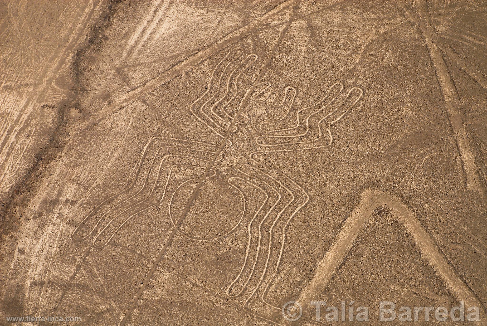 Lneas de Nazca