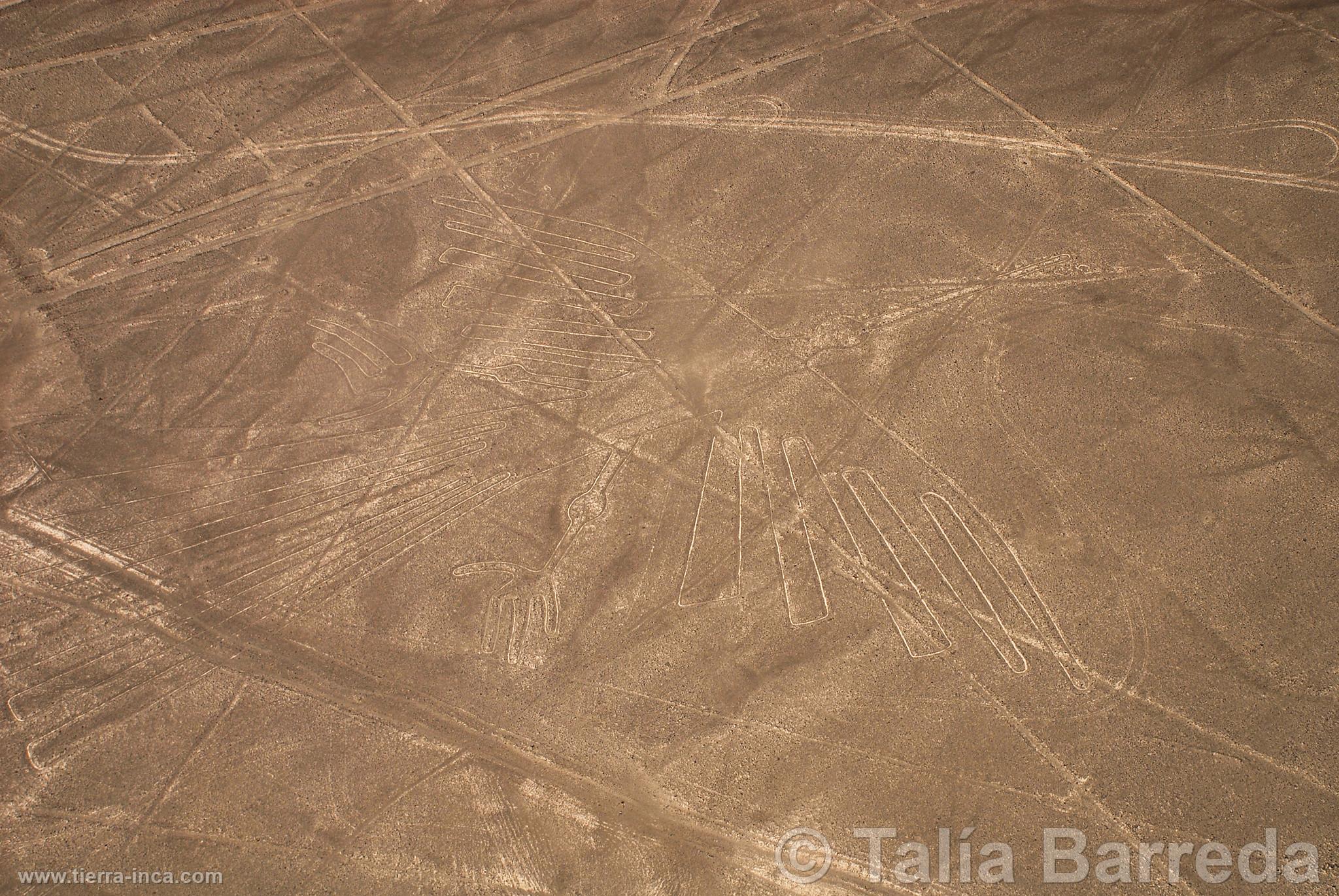 Lneas de Nazca