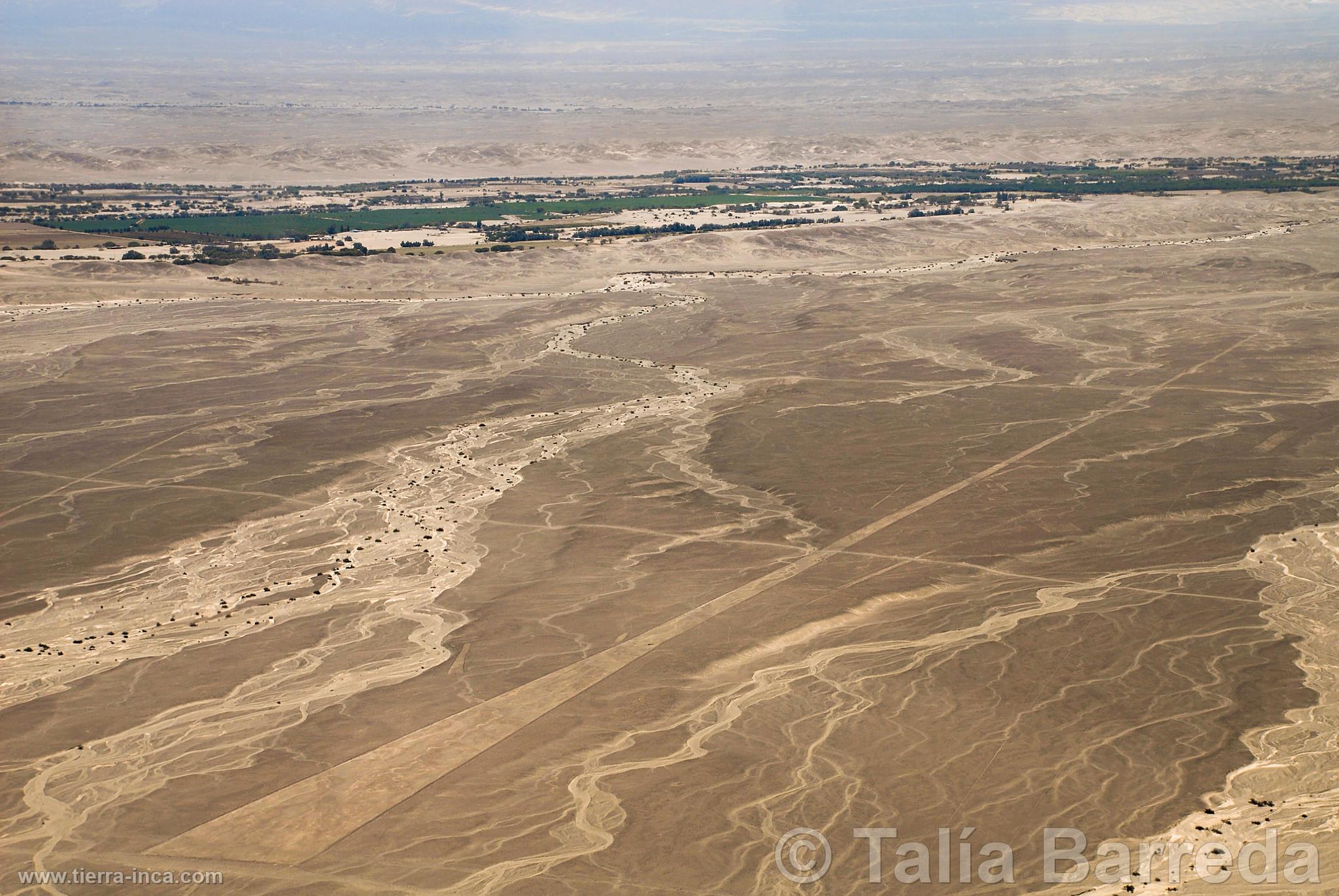 Lneas de Nazca