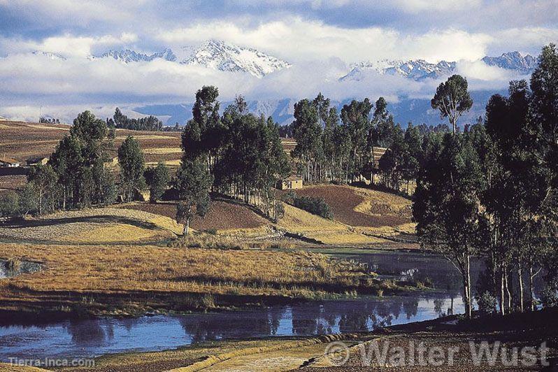 Campia de Piuray