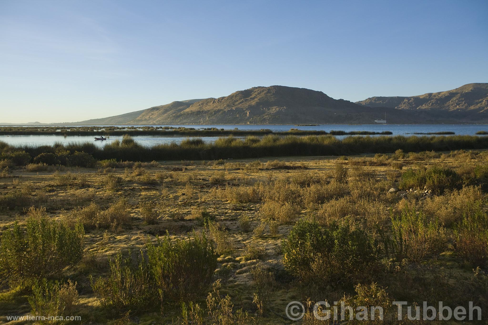 Isla Esteves