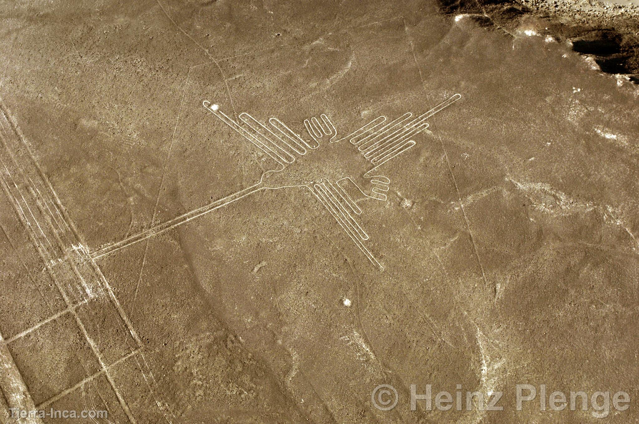 Líneas de Nazca