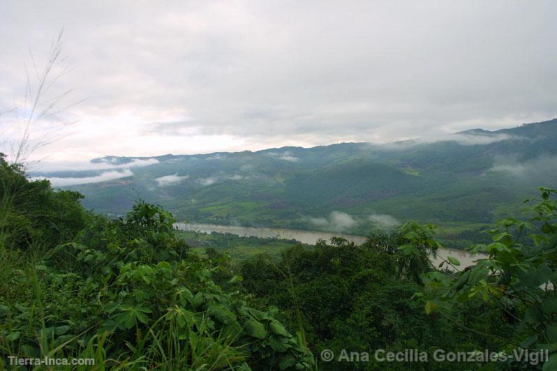 Selva de San Martín