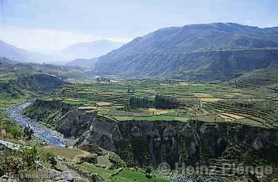 Can del Colca