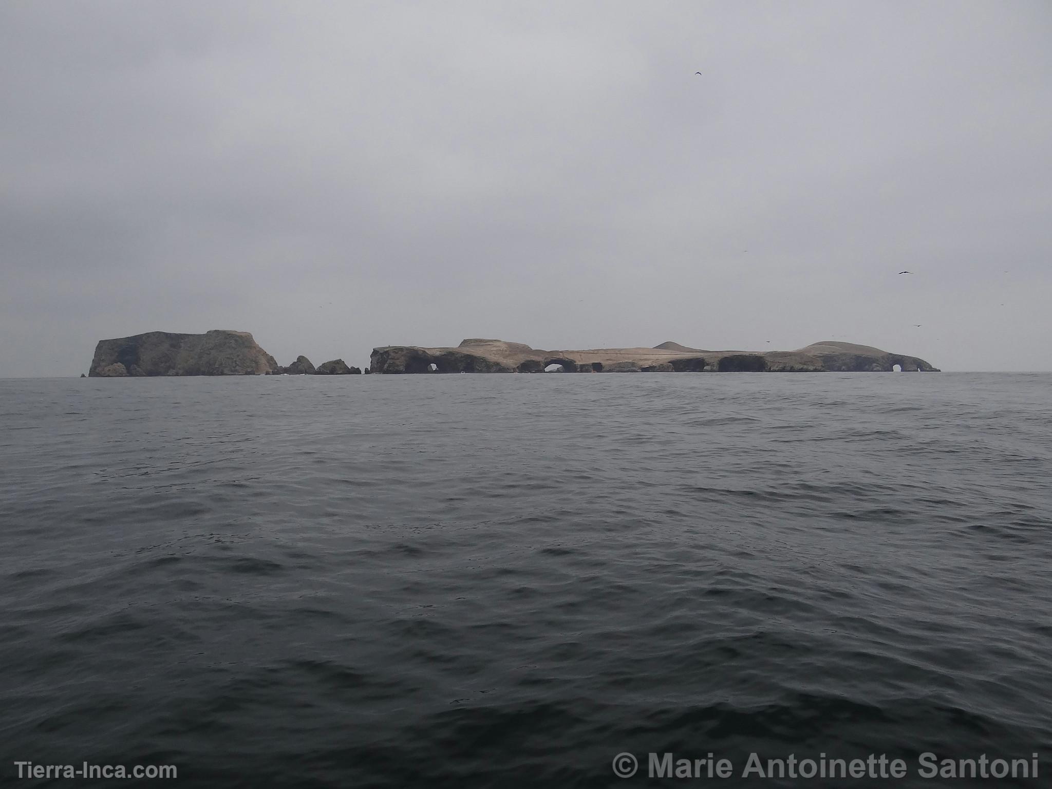 Islas Ballestas, Paracas