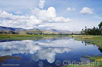 Laguna de Paca