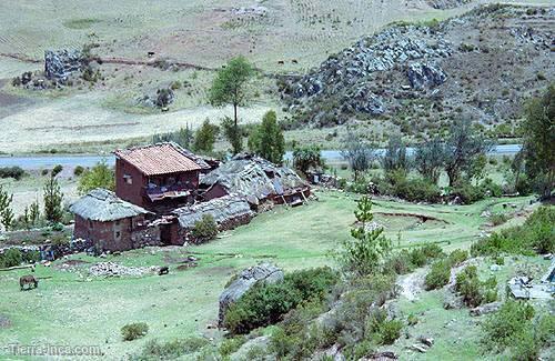 Cuzco