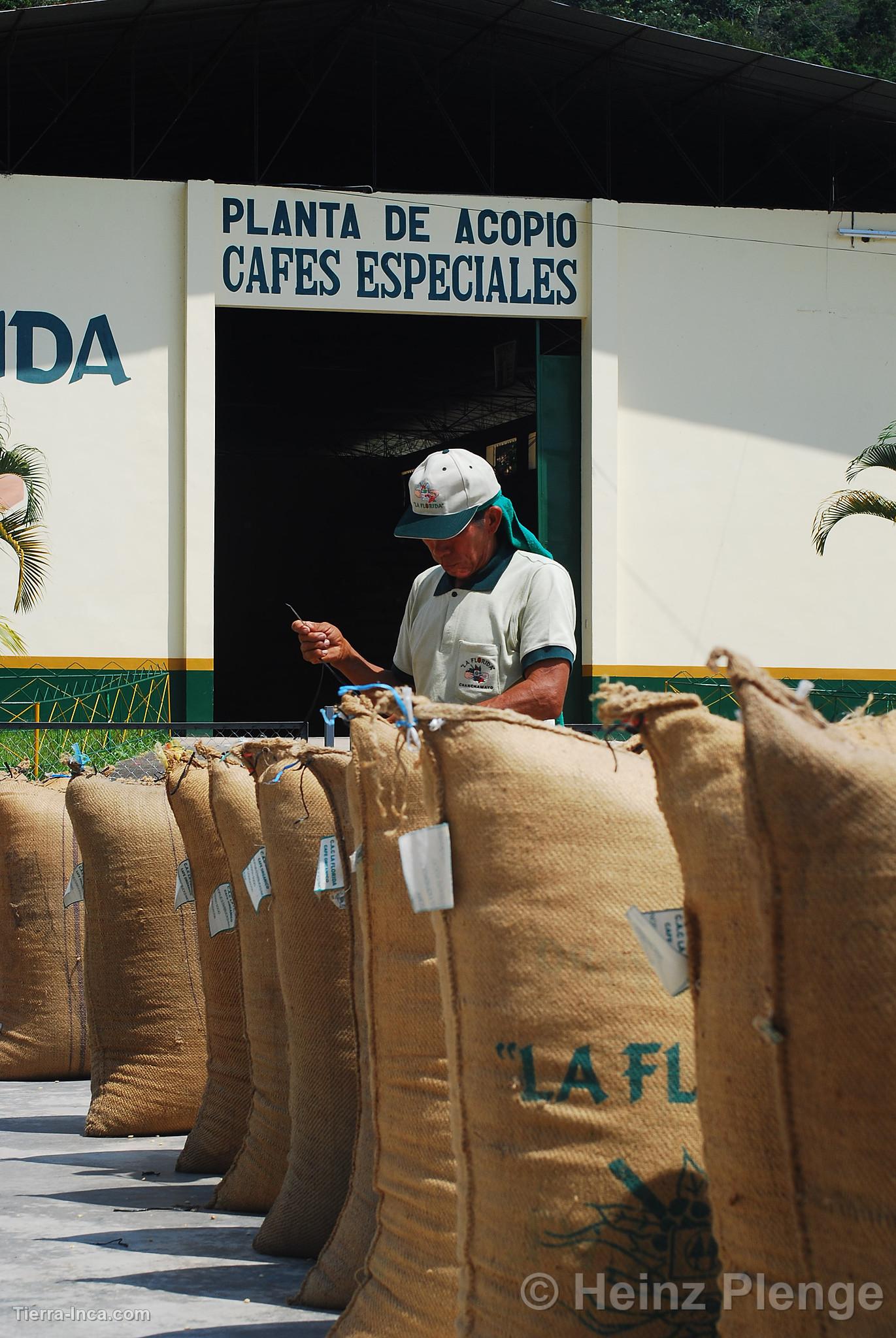 Ensacado de caf