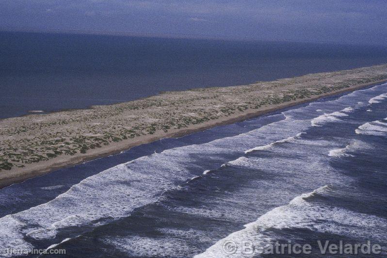 Desierto de Sechura, fenmeno de la Nia