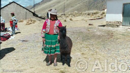 Viaje Puno-Cuzco en tren