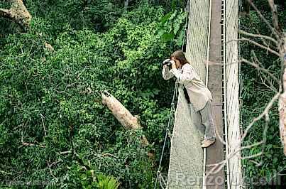 Observatorio de aves