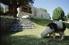 Molino de Sabandía