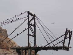 Islas Ballestas, Paracas