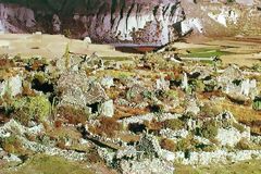 Reducción de Yanque Viejo (Uyu Uyu). Valle del Colca