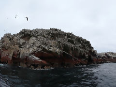 Islas Ballestas, Paracas