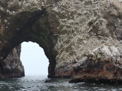 Islas Ballestas, Paracas