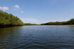 Santuarío Nacional Los Manglares de Tumbes