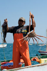 Pesca artesanal en Máncora
